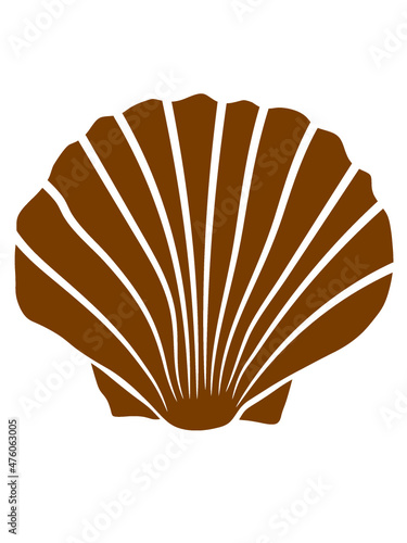 Logo Braune Muschel 