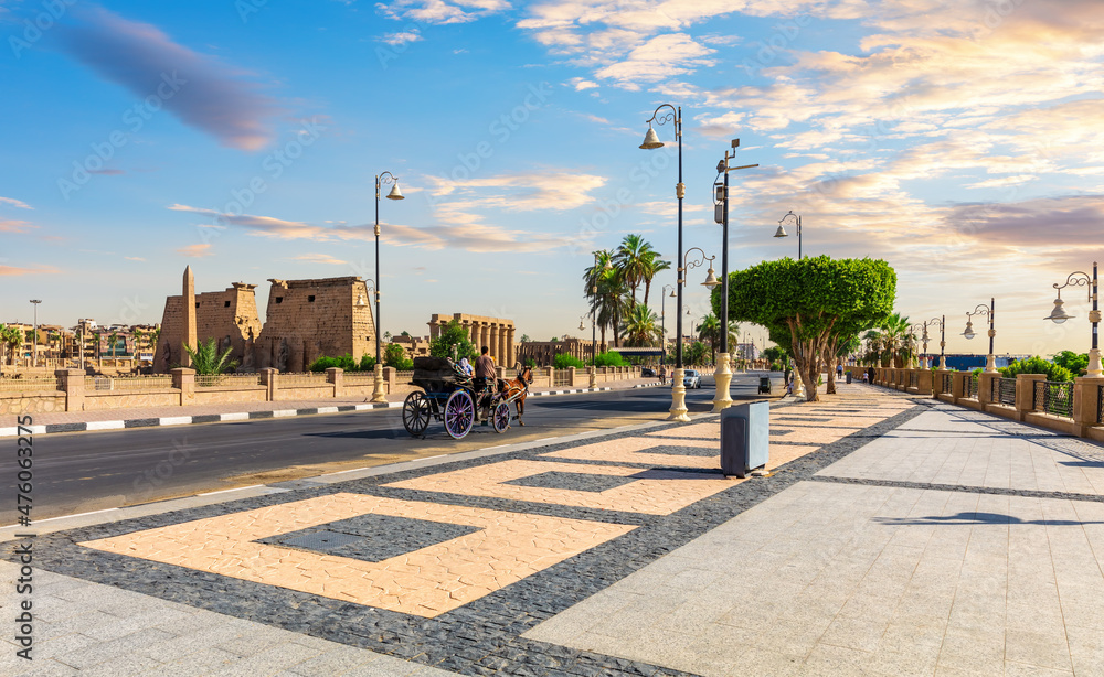 Traditional arab carriage with a horse on Luxor street, Egypt