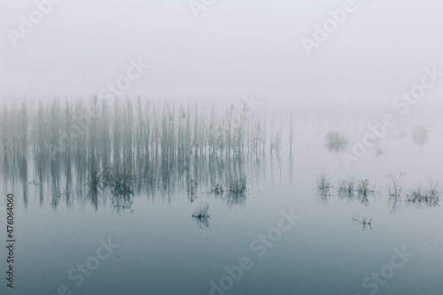 China Beijing Summer Palace misty lake and tree view