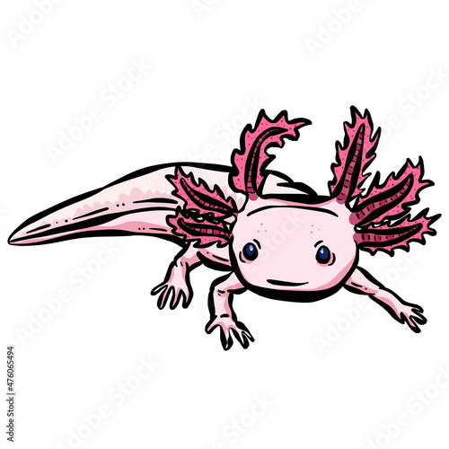 Axolotl Sea Creature Fish Logo Illustration