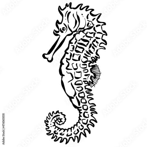 Seahorse Cartoon Illustration Logo Sea Creature