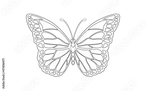 butterfly monarch vector illustration line 나비 일러스트 red color white background