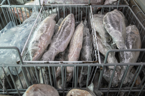 Frozen Seafood and fish in ...