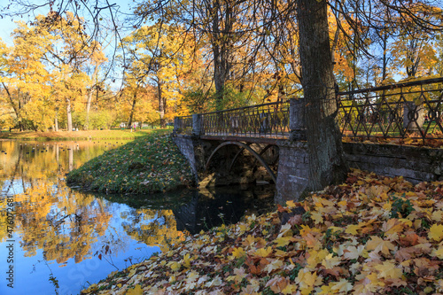 Elegant bridge in bright autumn park of Tsarskoe Selo