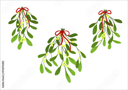 Mistletoe or Viscum Branches with Oblong Leaves and Berries Tied in Ribbons. Vector Set
