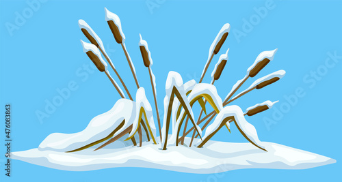 Marsh reed, grass under snow. Swamp cattails winter. Broken weed and snowdrifts. Vector bulrush for computer games isolated on blue background.