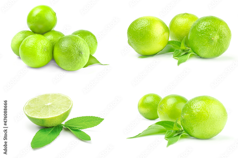 Collage of limes on white Collage of limes on white