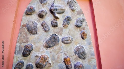 Animal fossils in a garden open to the public in Almuñecar, Granada, Andalusia, Spain