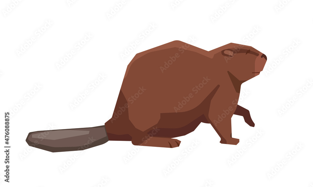 Beaver icon. Animal logo. Vector line icon for Business and Advertising Beaver icon. Animal logo. Vector line icon for Business and Advertising