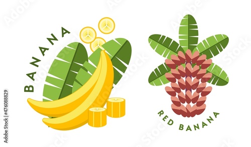 Set of logos, emblems, badges with yellow, red bananas, banana flowers, leaves, slices, bunch of bananas. Isolated vector illustration. Good for decoration of food package, creation of stickers. Flat