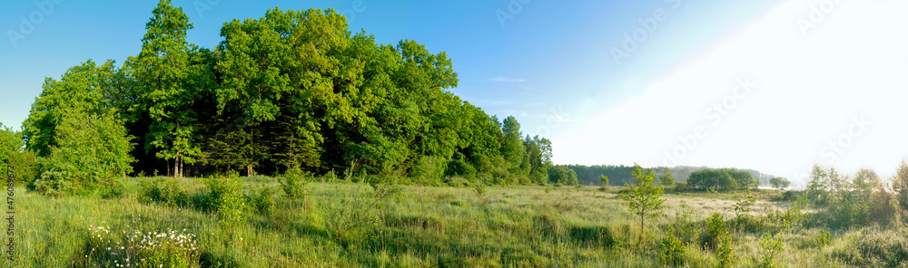 Spring forest and field on a background of blue sky Spring forest and field on a background of blue sky
