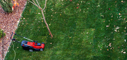 Obraz na płótnie Red electric lawn mower with a cord on a green lawn. .