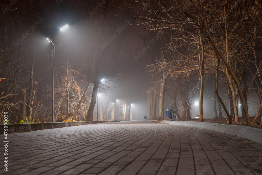 Deserted alley in the evening park. The city park is available in foggy weather