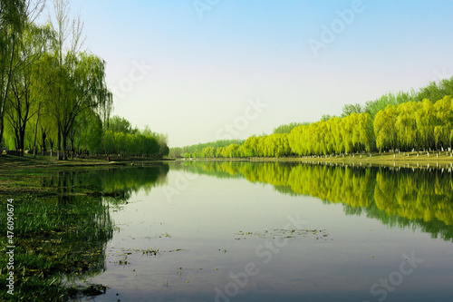 Fototapeta Naklejka Na Ścianę i Meble -  China Beijing Summer Palace misty lake and tree view