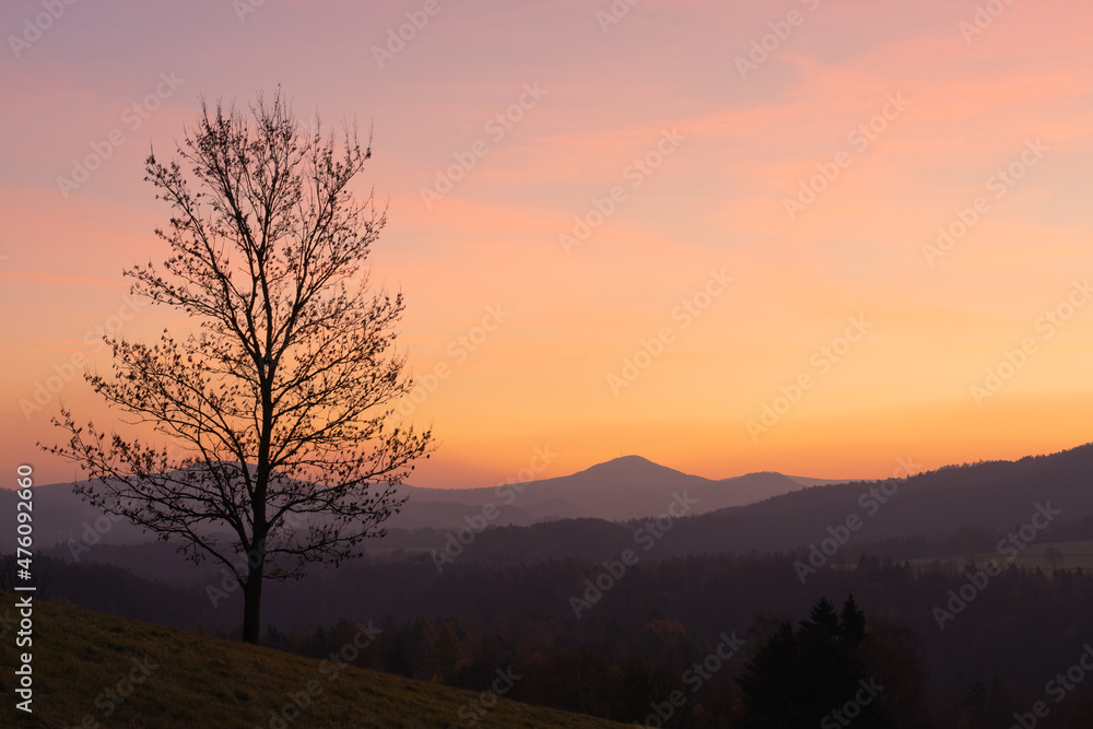 Sunrise in Bohemian Switzerland national park in the Czech republic seen from Cross hill (Křížový vrch). Beautiful morrning tranquil scene with single tall tree in foreground