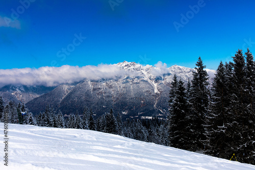 Alpine forest with snow covered alpine mountain peaks in the background under blue sky © Zoli