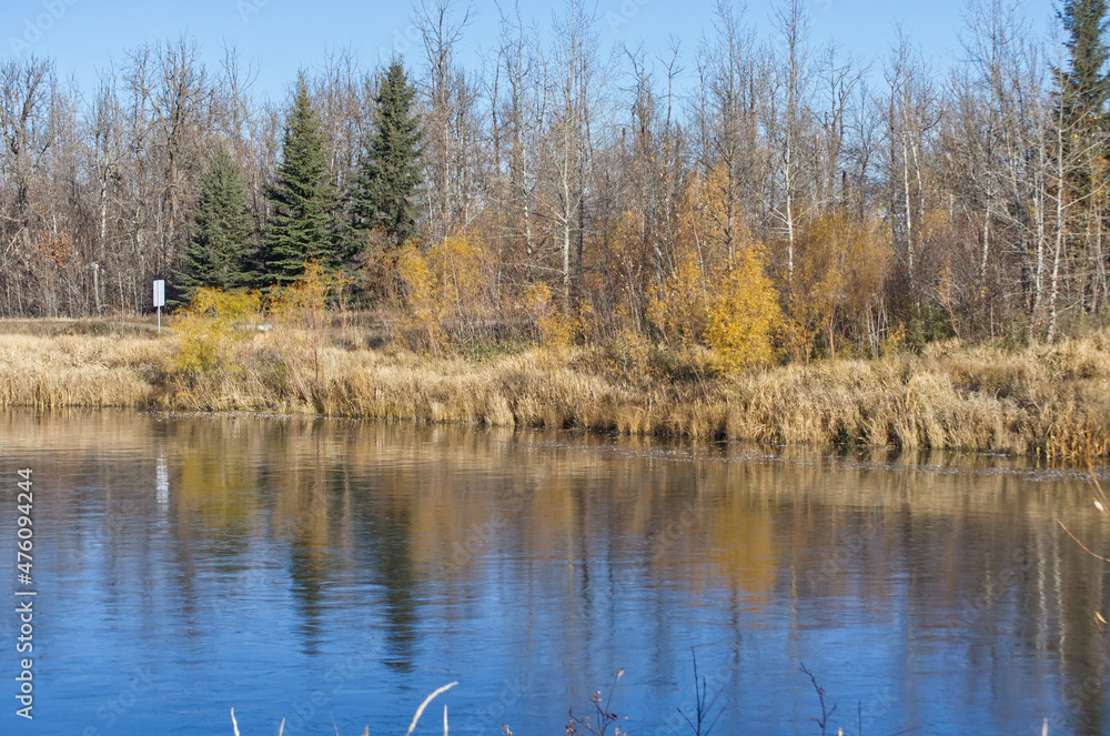 Pylypow Wetlands on a Clear Autumn Day Pylypow Wetlands on a Clear Autumn Day