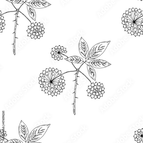 Medicinal plant, eleutherococcus. Vector illustration. Seamless pattern