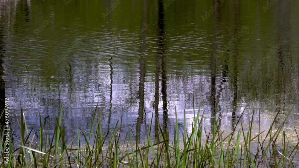 Waves and reflections on the water surface in windy conditions. Waves and reflections on the water surface in windy conditions.