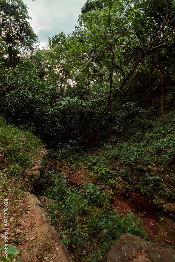 Dry stream in summer