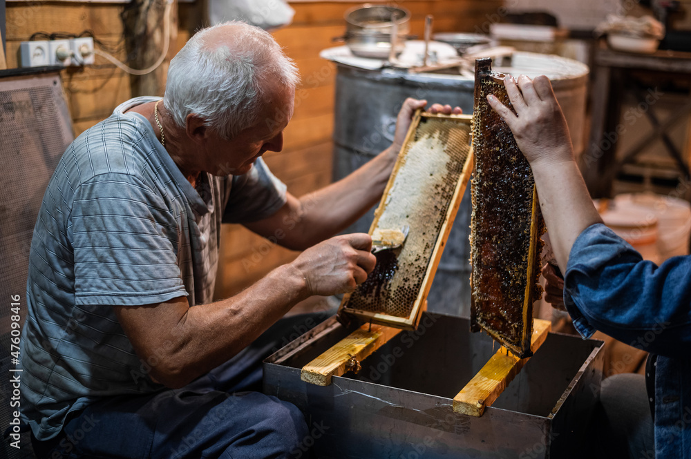 Beekeeper uncapping honey cells on the hive frames with a uncapping comb Beekeeper uncapping honey cells on the hive frames with a uncapping comb