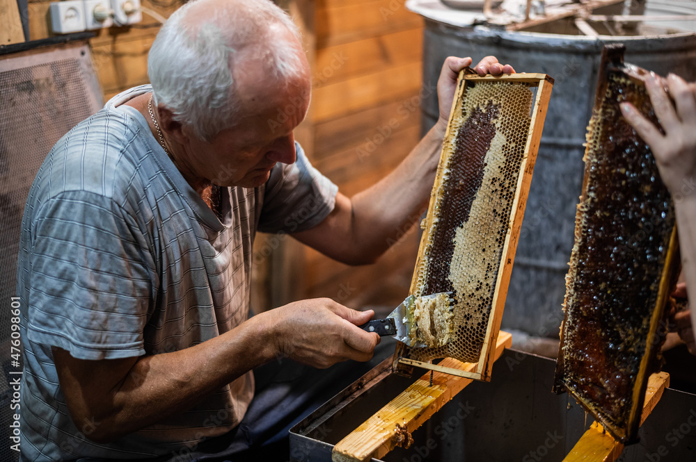 Beekeeper uncapping honey cells on the frames with a uncapping comb. Beekeeper uncapping honey cells on the frames with a uncapping comb.