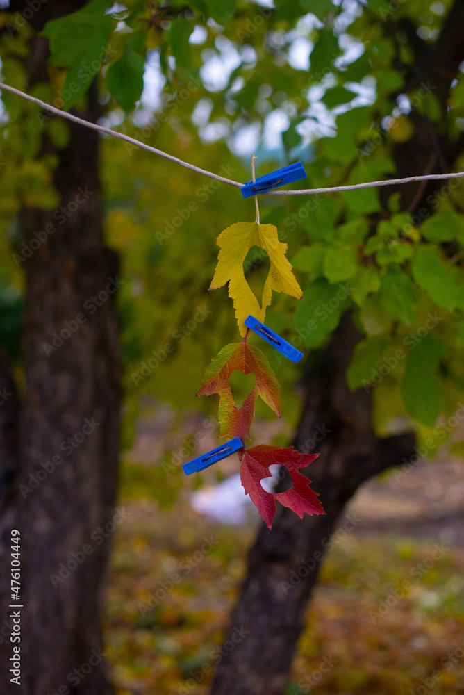 Naklejka premium autumn leaf with a heart hanging on a rope. High quality photo