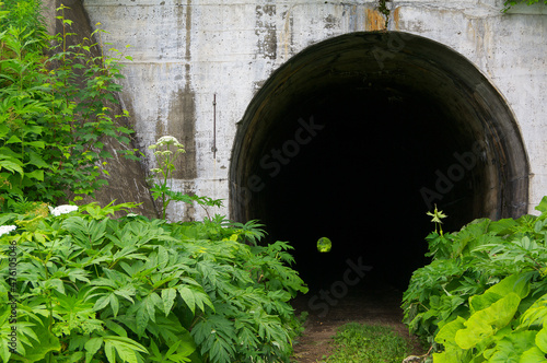 an abandoned tunnel