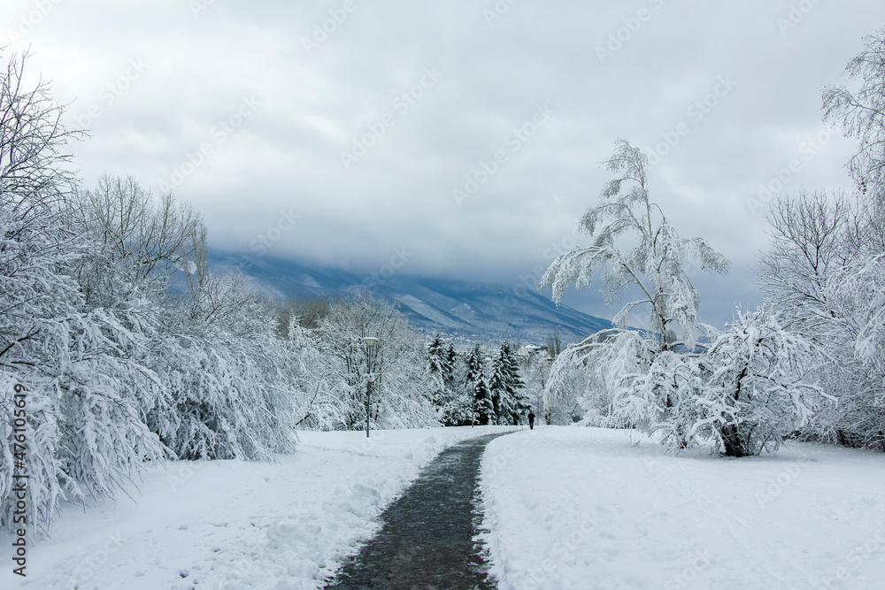Fototapeta premium Winter Landscape of South Park in city of Sofia, Bulgaria