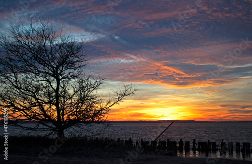 Colorful sunset over Sandy Hook Bay, New Jersey, on a late afternoon with a mostly stratus cloud filled sky and a tree in silhouette -63 © Demetrios
