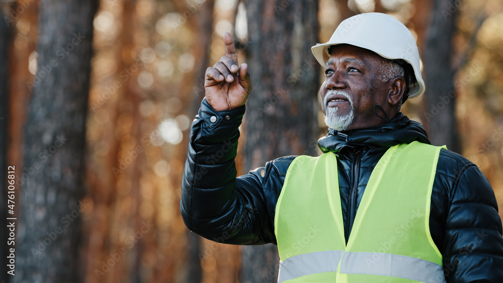 Obraz premium Elderly forestry engineer professional shares experience assesses environment an foreman supervises felling of emergency trees old forester in protective helmet points finger shake head agree good job