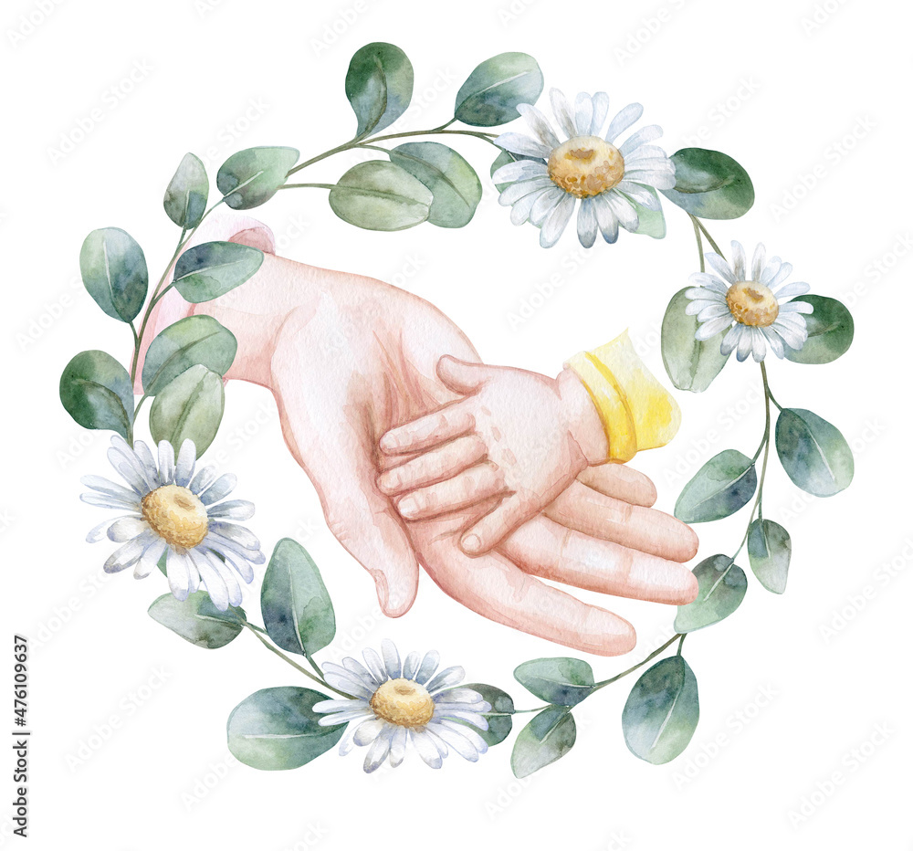 Hands of mother and baby. Eucalyptus and chamomile. Floral frame, wreath. Motherhood watercolor illustration
