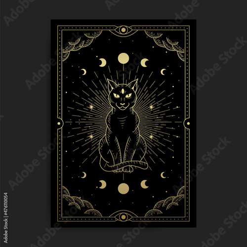 Mystical black cat. Familiar spirit or pagan witchcraft