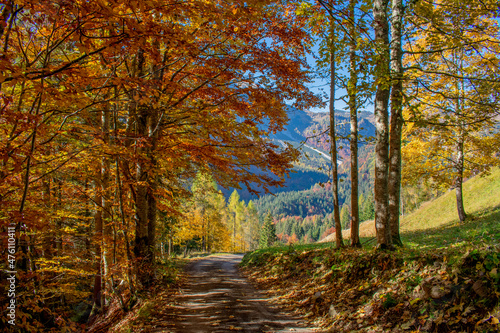 Sentiero di montagna a Sauris (Friuli Venezia Giulia) © Roberto Pighin