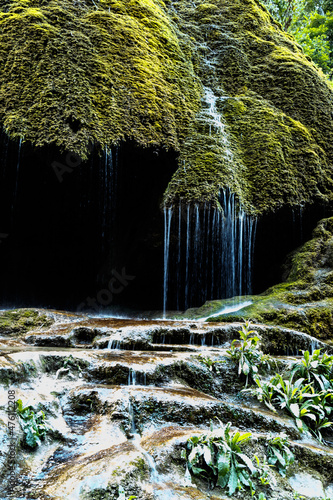 Amazing umbrella falls in a forest photo