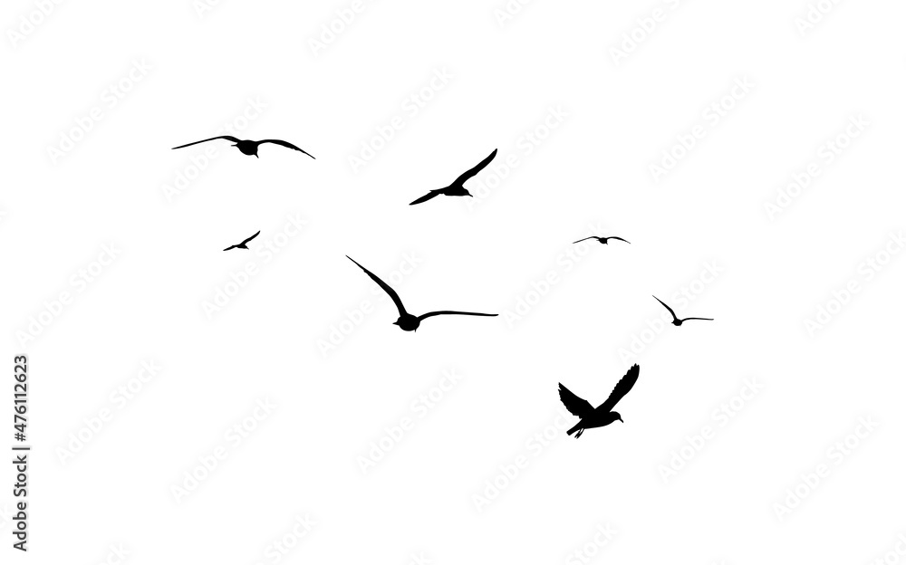 A flock of flying birds. Free birds. Flying seagulls. Vector illustration - obrazy, fototapety, plakaty 