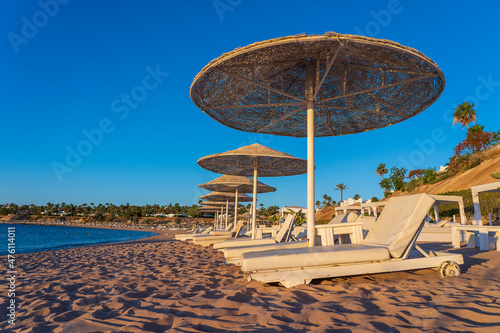 Luxury sand beach with beach chairs and white straw umbrellas in tropical resort in Red Sea coast in Egypt, Africa
