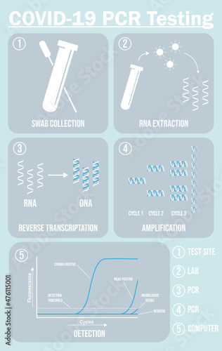 Infographic vector explaining the steps of PCR testing for COVID-19