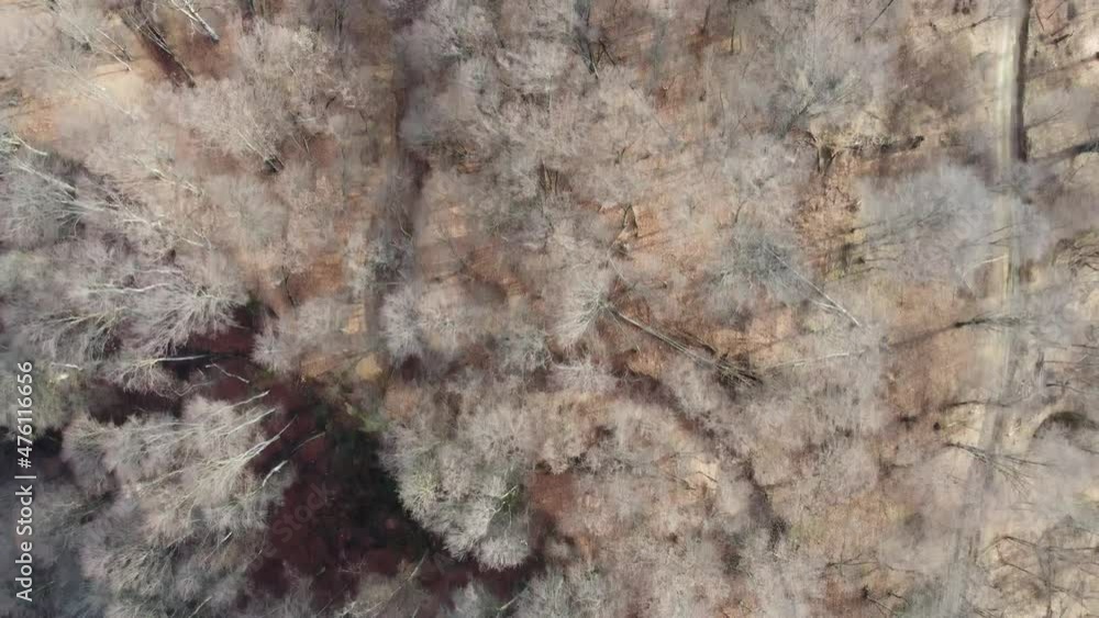 winter, autumn, mountain forest top view, road for off-road vehicle winter, autumn, mountain forest top view, road for off-road vehicle