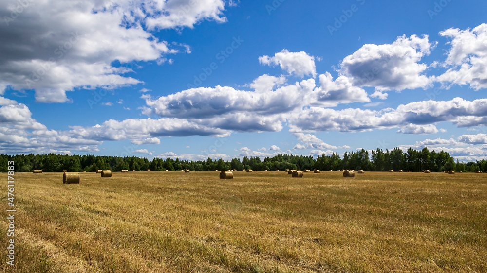 a field with straw bales a field with straw bales