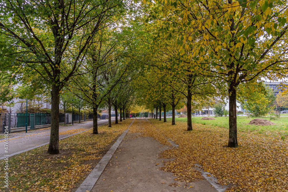 Gennevilliers, France - 10 29 2021: View of colored trees in autumn