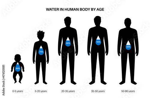 Water body balance