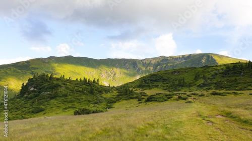 Fototapeta Naklejka Na Ścianę i Meble -  landscape with sky, Stiol Meadow, Rodnei Mountains, Romania 