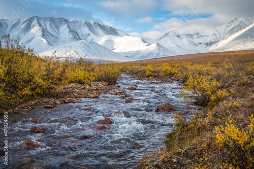 A rocky stream flows through autumn tundra on the coastal plain of the Arctic National Wildlife Refuge with the Sadelrochit Mountains in the background, Alaska. 