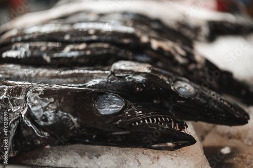 Canvastavla Closeup of a black scabbard fish