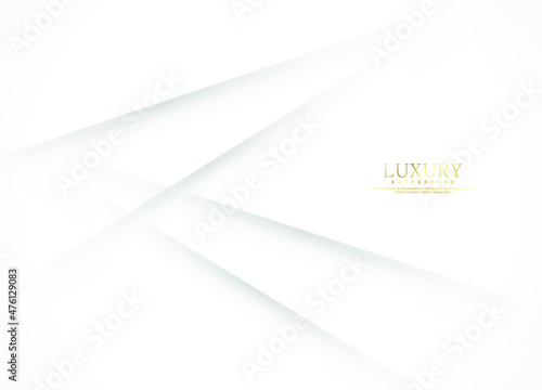 White luxury abstract background with golden lines and shadows. Premium vector illustration