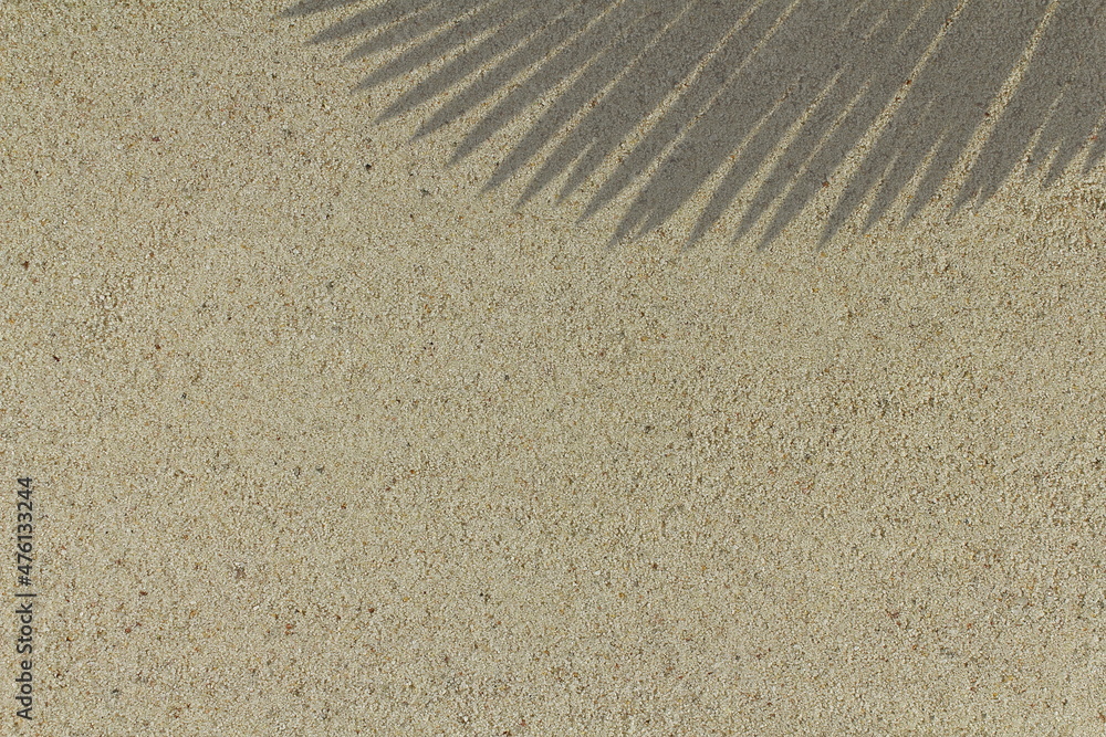 shadow of palm tree leaves on sand background top view with copy space shadow of palm tree leaves on sand background top view with copy space