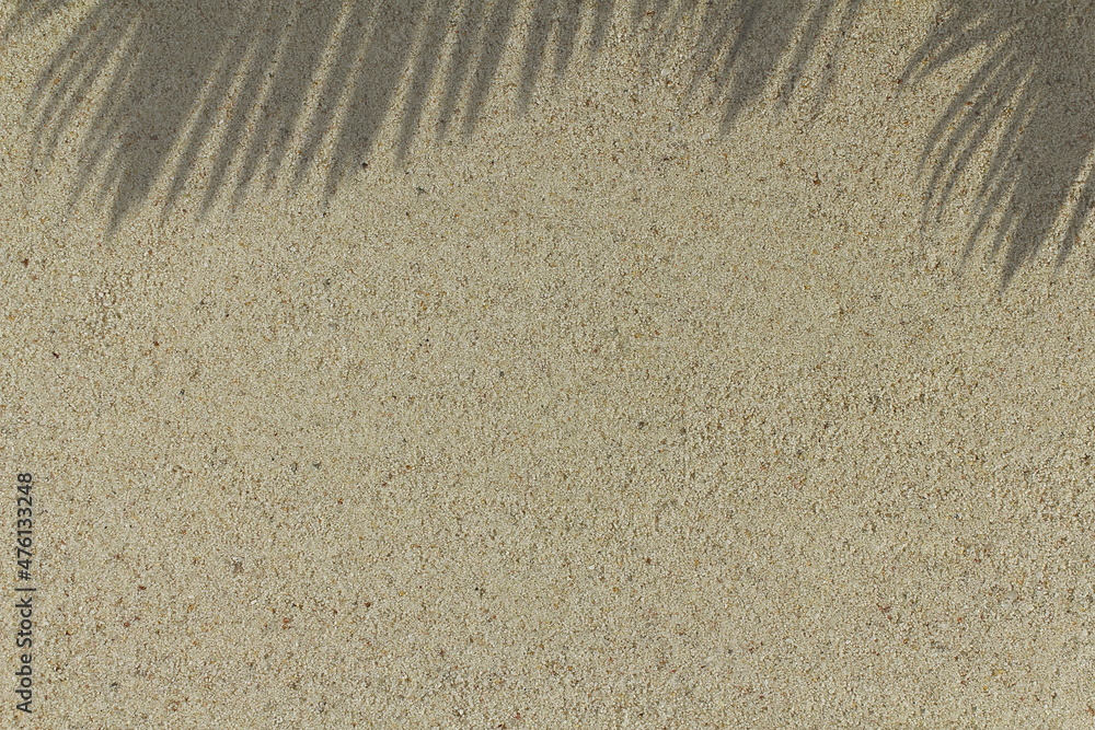 shadow of palm tree leaves on sand background top view with copy space shadow of palm tree leaves on sand background top view with copy space