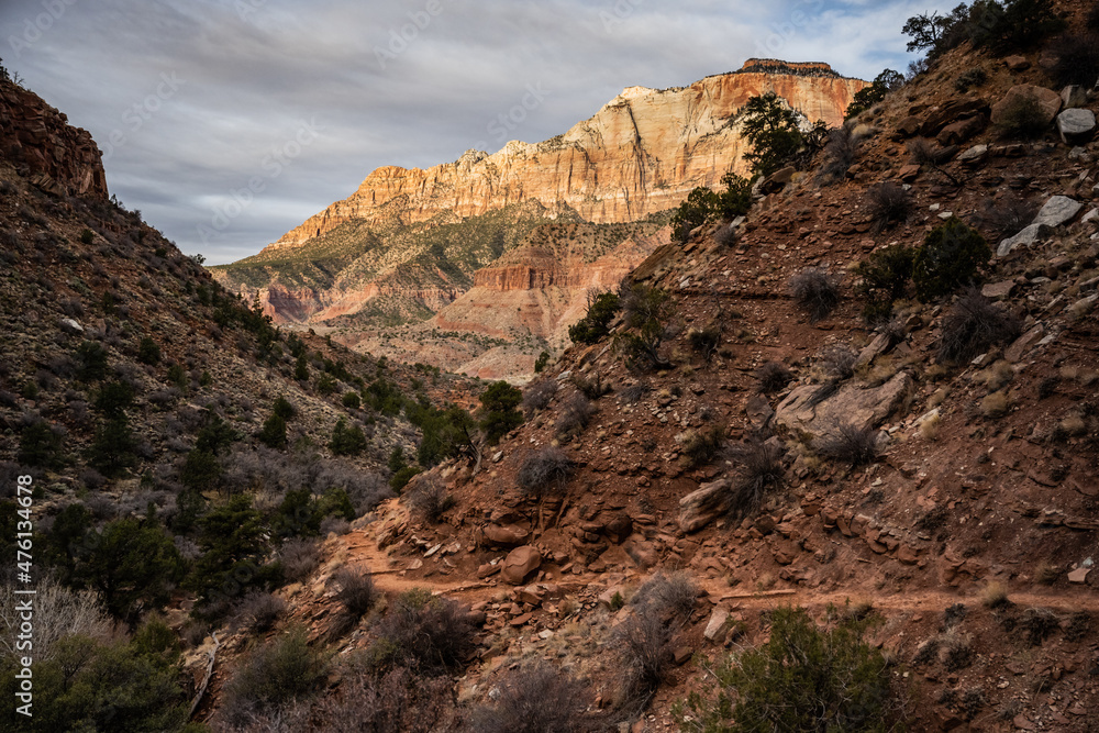Obraz premium Watchman Trail snakes around hillside with sunrise lighting distant cliffs