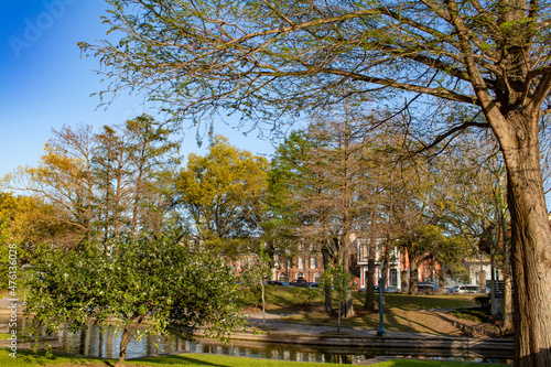 Trees and Bushes Bloom by the Stream Running through the Public Louis Armstrong Park in the Tremé Neighborhood of New Orleans, Louisiana, USA photo